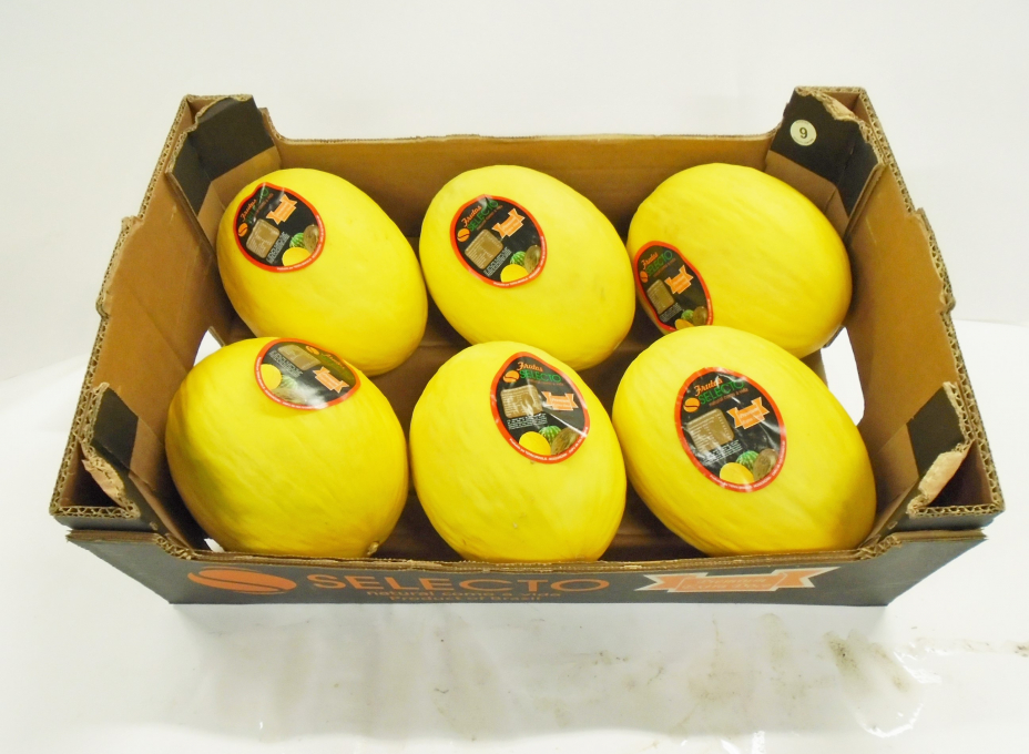 melone giallo2